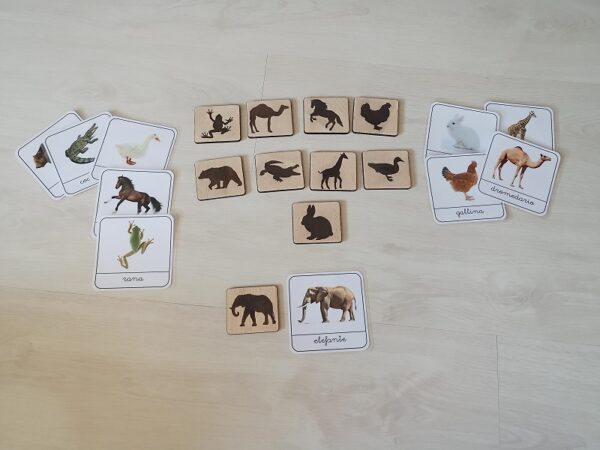 Tablillas de animales con tarjetas